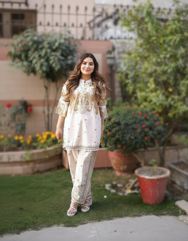 2 Pcs Women's Stitched Swiss Lawn Printed Shirt And Trouser